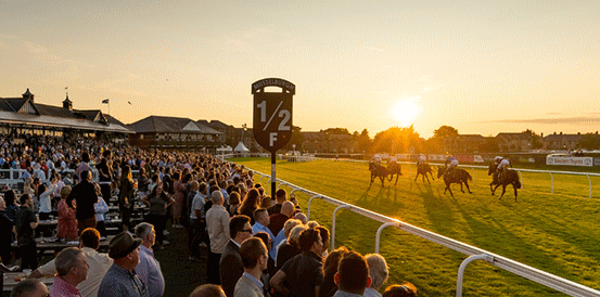 Rock My Way Favourite to Win Edinburgh National Handicap Chase